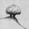 Zweibaum - Tusche - 16 x 18 cm 