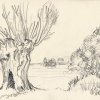 In Ahrenshoop am Feldrain - Bleistift - 20 x 24 cm 